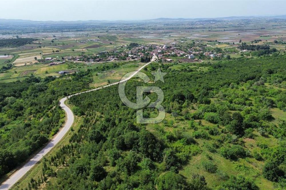 BİGA GEMİCİKIRI KÖYÜ FIRSAT SATILIK BAĞ