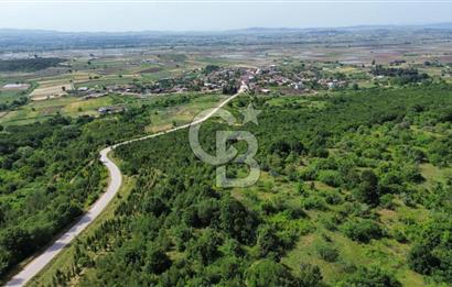 BİGA GEMİCİKIRI KÖYÜ FIRSAT SATILIK BAĞ