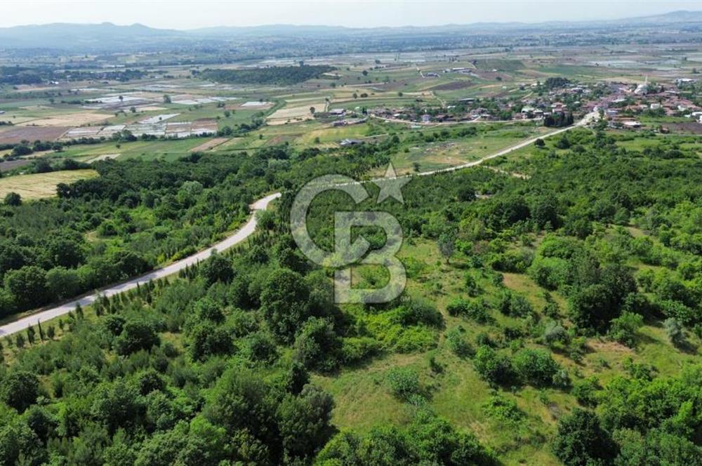 BİGA GEMİCİKIRI KÖYÜ FIRSAT SATILIK BAĞ