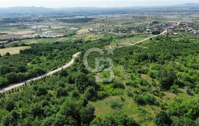 BİGA GEMİCİKIRI KÖYÜ FIRSAT SATILIK BAĞ