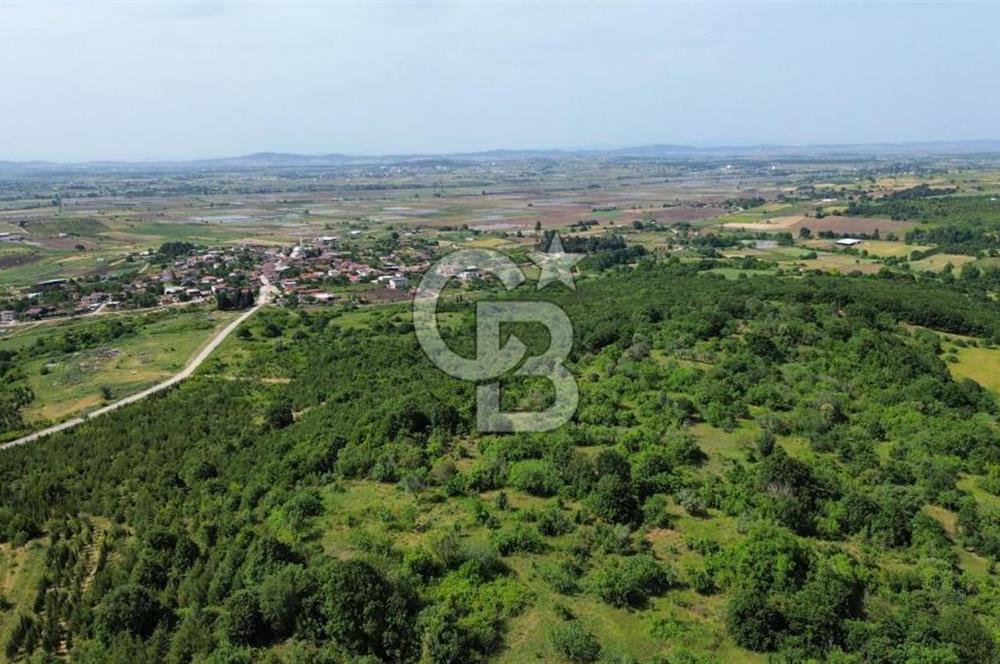 BİGA GEMİCİKIRI KÖYÜ FIRSAT SATILIK BAĞ