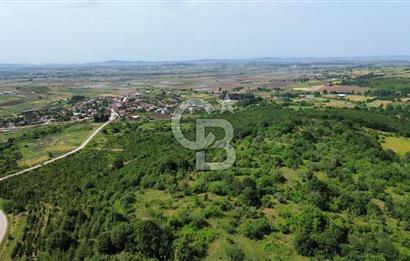 BİGA GEMİCİKIRI KÖYÜ FIRSAT SATILIK BAĞ