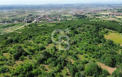 BİGA GEMİCİKIRI KÖYÜ FIRSAT SATILIK BAĞ