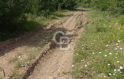 BİGA GEMİCİKIRI KÖYÜ FIRSAT SATILIK BAĞ