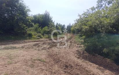 BİGA GEMİCİKIRI KÖYÜ FIRSAT SATILIK BAĞ