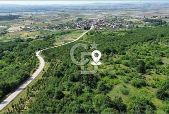 BİGA GEMİCİKIRI KÖYÜ FIRSAT SATILIK BAĞ