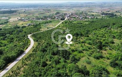 BİGA GEMİCİKIRI KÖYÜ FIRSAT SATILIK BAĞ