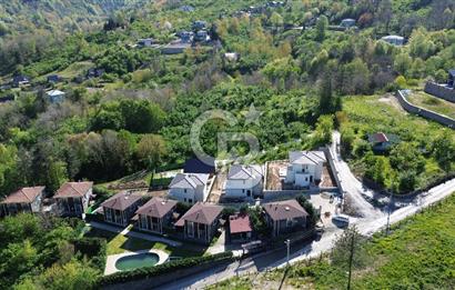Kuş Sesleriyle Uyanın: Sapancada Orman İçinde 5+1 Doğa Villa