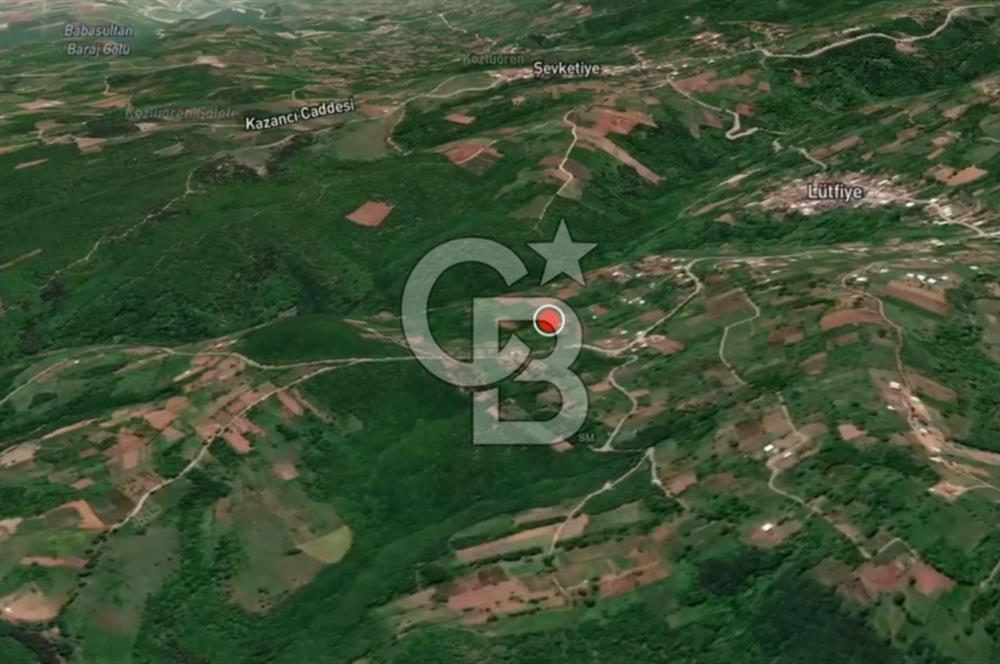 CB AMBIANCE'DAN KESTEL LÜTFİYE KÖYÜ'NDE SATILIK HİSSELİ TARLA