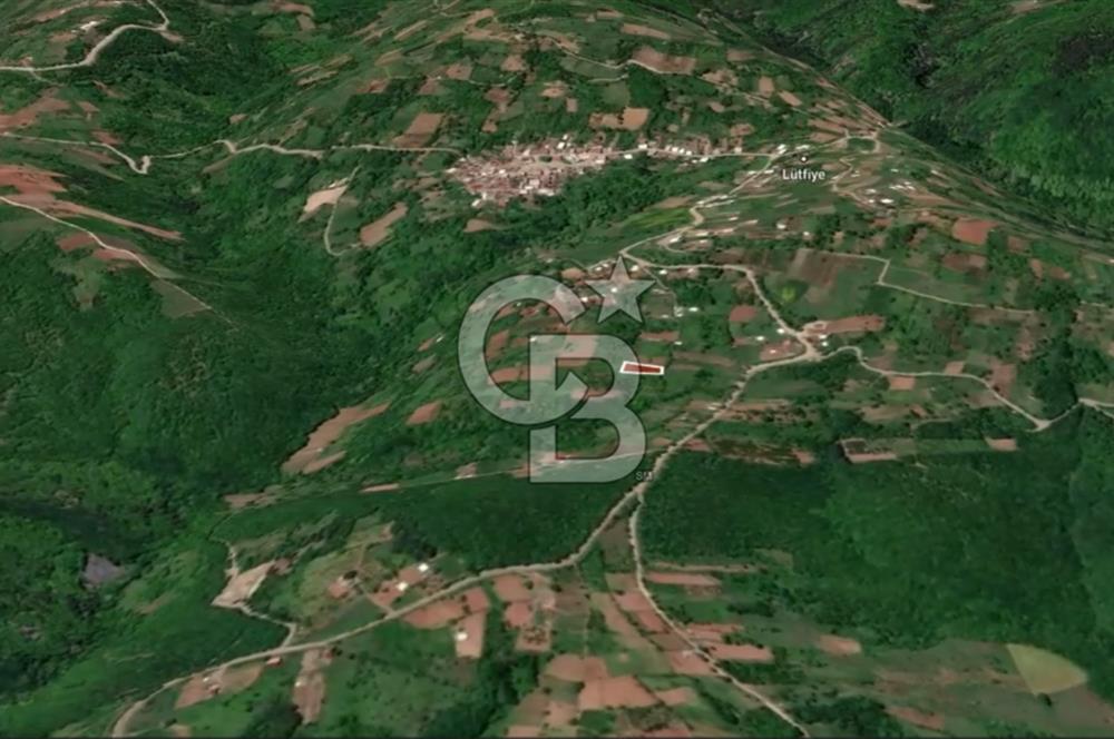 CB AMBIANCE'DAN KESTEL LÜTFİYE KÖYÜ'NDE SATILIK HİSSELİ TARLA