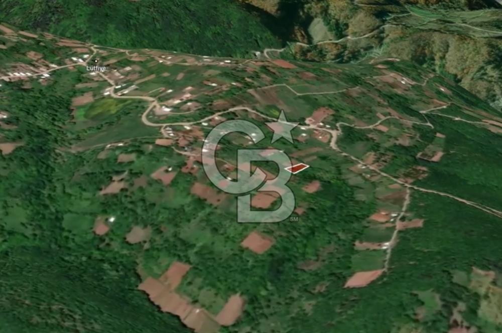 CB AMBIANCE'DAN KESTEL LÜTFİYE KÖYÜ'NDE SATILIK HİSSELİ TARLA