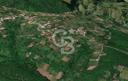 CB AMBIANCE'DAN KESTEL LÜTFİYE KÖYÜ'NDE SATILIK HİSSELİ TARLA
