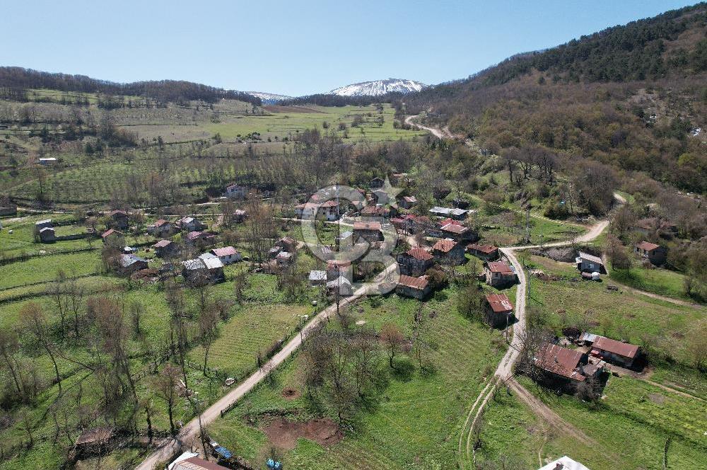 Doğayla İç İçe, Eşyalarıyla Hazır! Mudurnuda 284 m² Müstakil