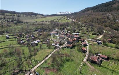 Doğayla İç İçe, Eşyalarıyla Hazır! Mudurnuda 284 m² Müstakil