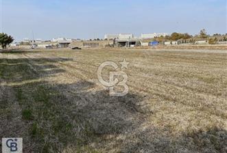 CB CLASS DOĞANKÖY SATILIK ARSA HİSSESİ