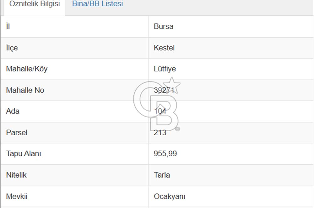 CB AMBIANCE'DAN KESTEL LÜTFİYE KÖYÜ'NDE SATILIK HİSSELİ TARLA