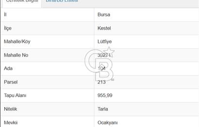 CB AMBIANCE'DAN KESTEL LÜTFİYE KÖYÜ'NDE SATILIK HİSSELİ TARLA