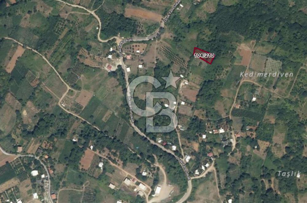 CB AMBIANCE'DAN KESTEL LÜTFİYE KÖYÜ'NDE SATILIK HİSSELİ TARLA