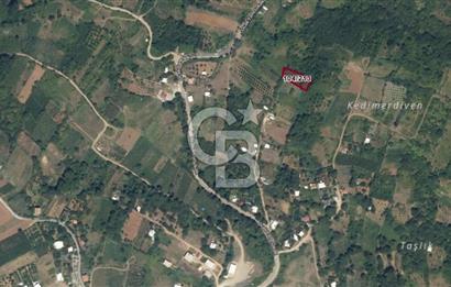 CB AMBIANCE'DAN KESTEL LÜTFİYE KÖYÜ'NDE SATILIK HİSSELİ TARLA