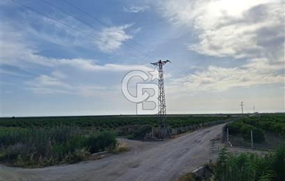 ADANA KARATAŞ İSAHACILI SATILIK BAHÇE