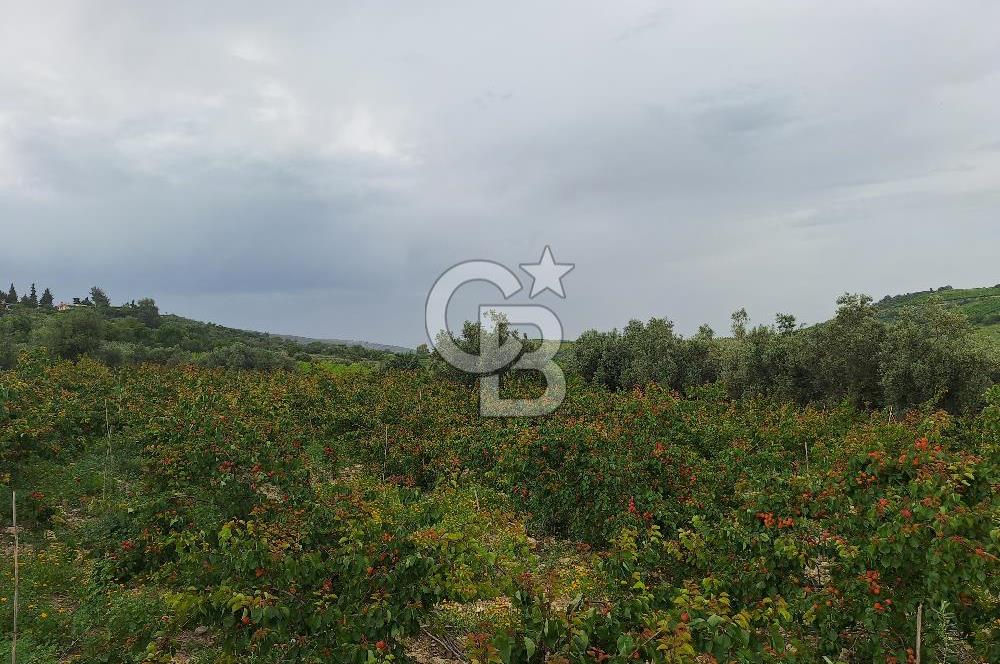 MERSİN TARSUS KARADİKEN SATILIK BAHÇE