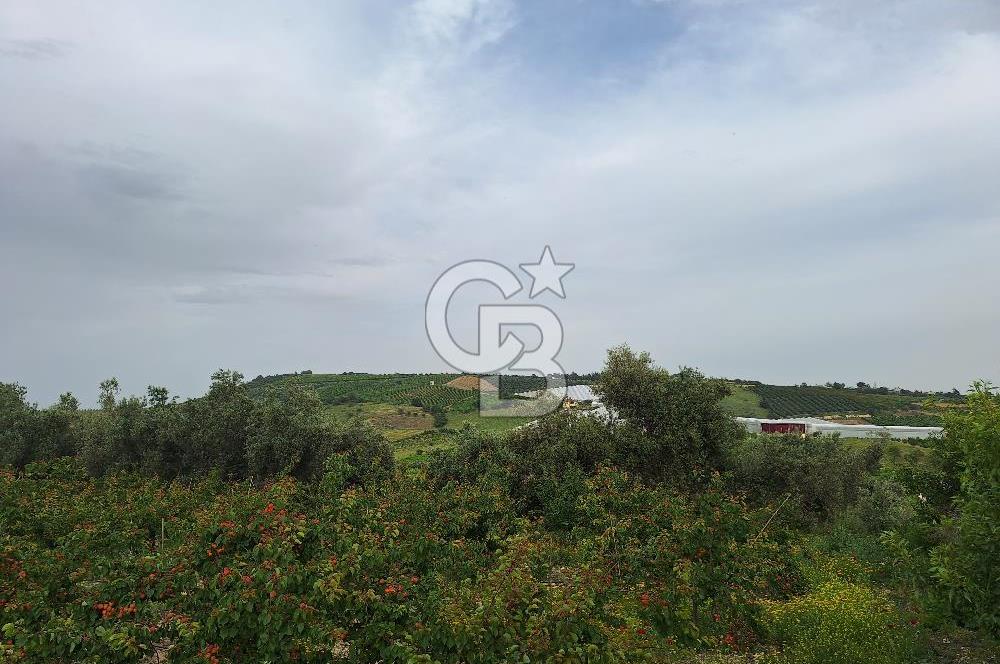 MERSİN TARSUS KARADİKEN SATILIK BAHÇE