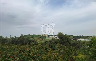MERSİN TARSUS KARADİKEN SATILIK BAHÇE