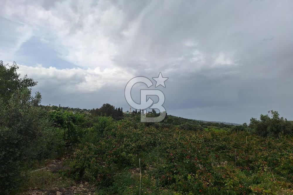 MERSİN TARSUS KARADİKEN SATILIK BAHÇE