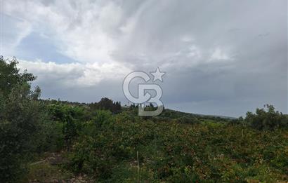 MERSİN TARSUS KARADİKEN SATILIK BAHÇE