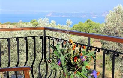 Fethiye Faralya’da Satılık Yüksek Gelir Getiren Doğanın İçinde Yatırımlık Butik Otel 