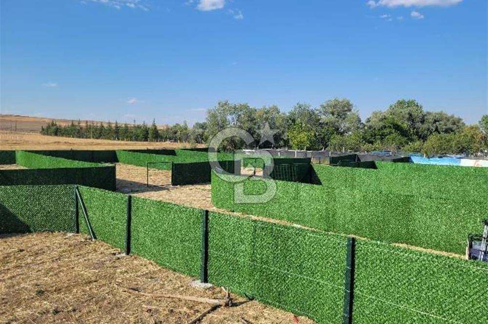 ANKARA GÖLBAŞI JARDİN YAŞAM BAHÇELERİNDE 300 M2 HOBİ BAHÇESİ