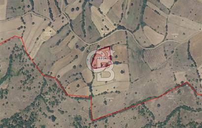 BALIKESİR KEPSUT SATILIK ARSA