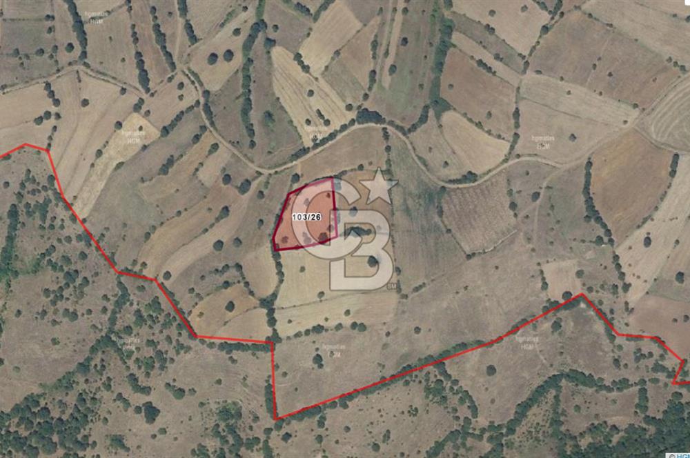 BALIKESİR KEPSUT SATILIK ARSA