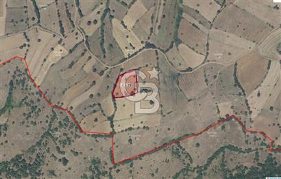BALIKESİR KEPSUT SATILIK ARSA