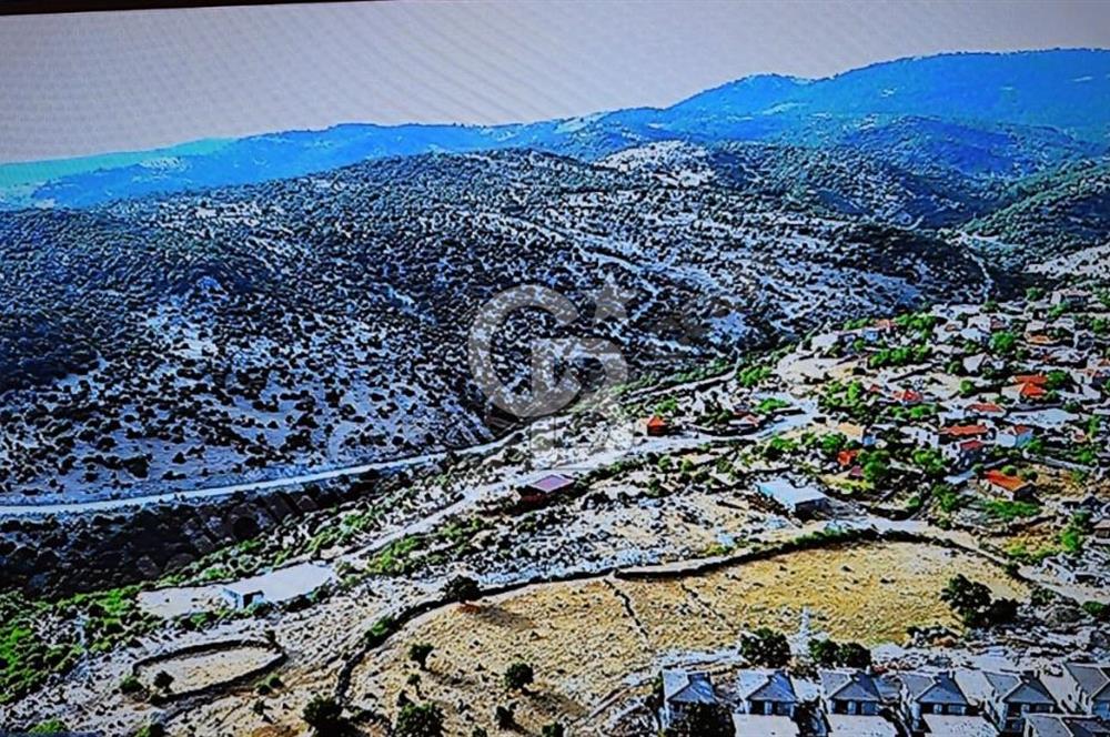Çanakkale Ayvacık Tamış’ta satılık imarlı arsalar