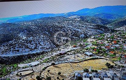 Çanakkale Ayvacık Tamış’ta satılık imarlı arsalar
