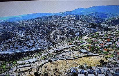 Çanakkale Ayvacık Tamış’ta satılık imarlı arsalar