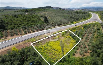 MUDANYA ALTINTAŞ’ta ANA YOLA CEPHE SATILIK ARSA