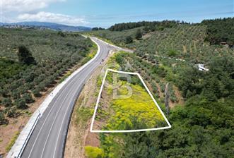 MUDANYA ALTINTAŞ’ta ANA YOLA CEPHE SATILIK ARSA