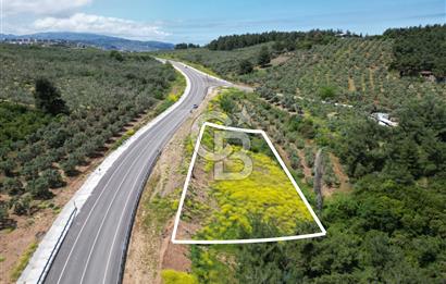 MUDANYA ALTINTAŞ’ta ANA YOLA CEPHE SATILIK ARSA
