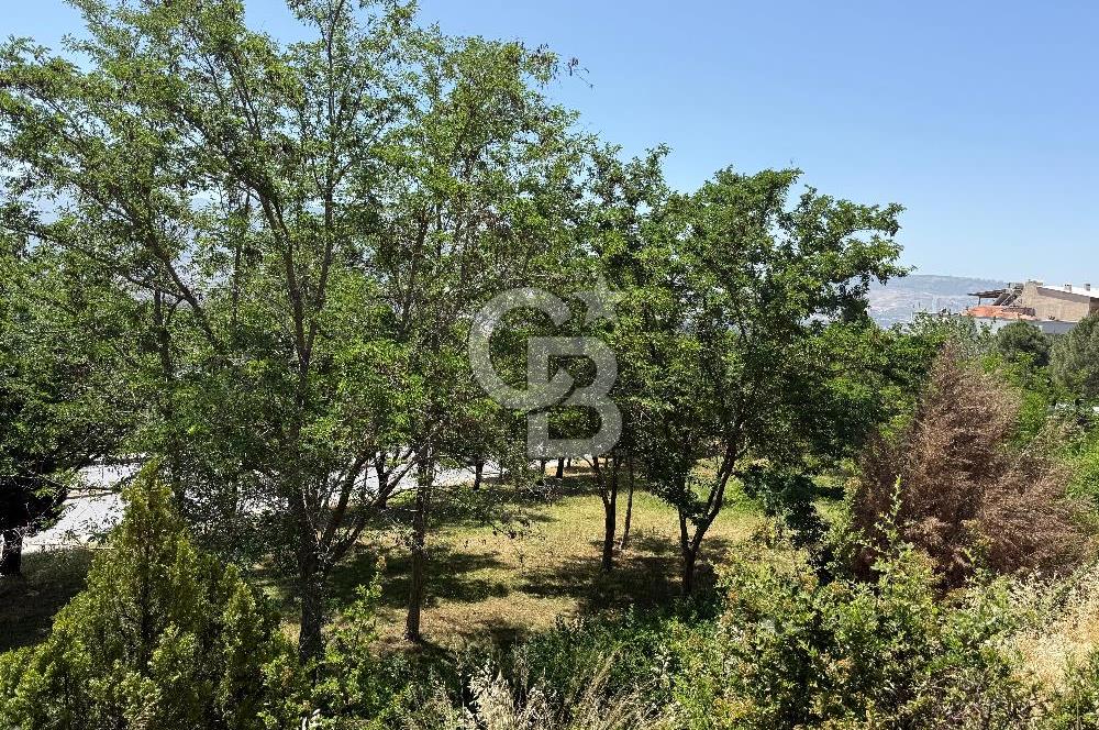 BORNOVA KIZILAY'DA EMSALSİZ SATILIK ARSA