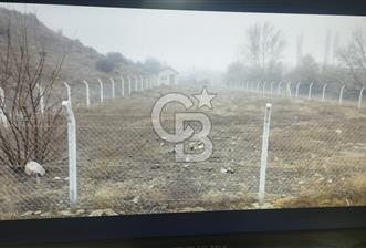 ELMADAĞ DELİLER MAH. TEK TAPU MÜSTAKİL EVLİ YOLA CEPHE TARLA