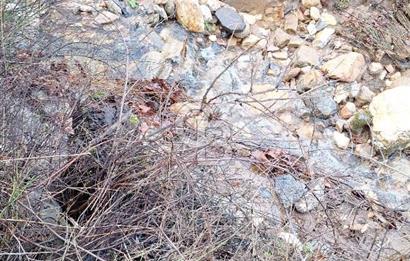 Muğla Yatağan Zeytinköy Kocaarmut Mevkiinde Satılık Verimli Zeytinlik