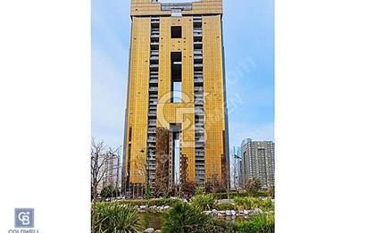 ANDROMEDA GOLD FULL ADALAR MANZARALI 2+1