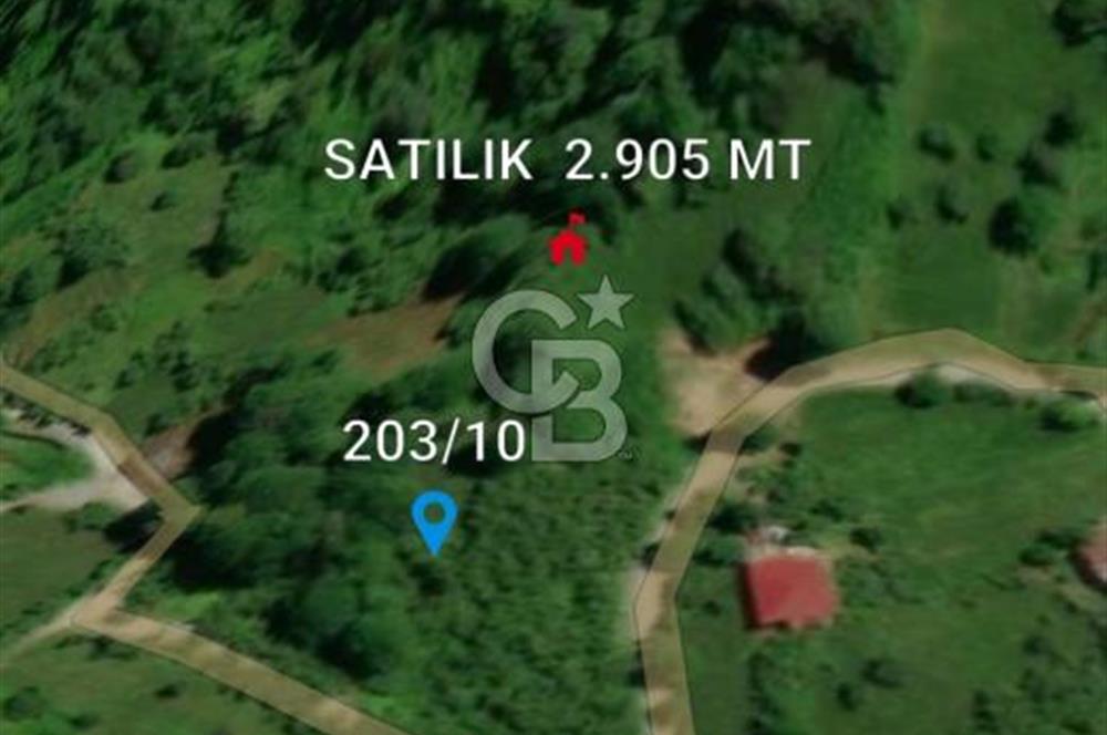Artvin Arhavi Derecik Köyünde 2905 M² Satılık Fındıklık