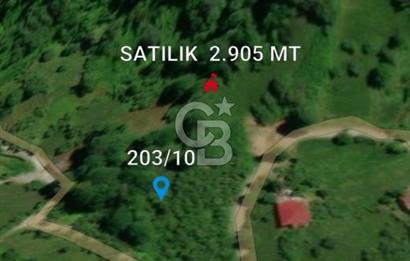 Artvin Arhavi Derecik Köyünde 2905 M² Satılık Fındıklık