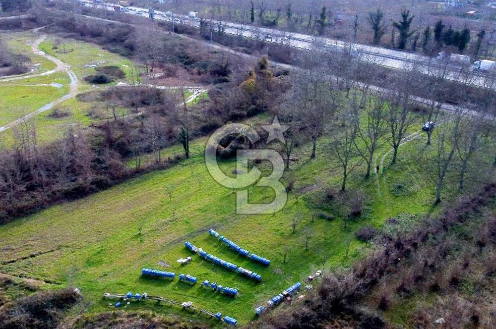 CB AKADEMİ MAŞUKİYE ASFALT CEPHE SATILIK 8376 m2 TARLA