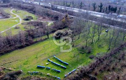 CB AKADEMİ MAŞUKİYE ASFALT CEPHE SATILIK 8376 m2 TARLA