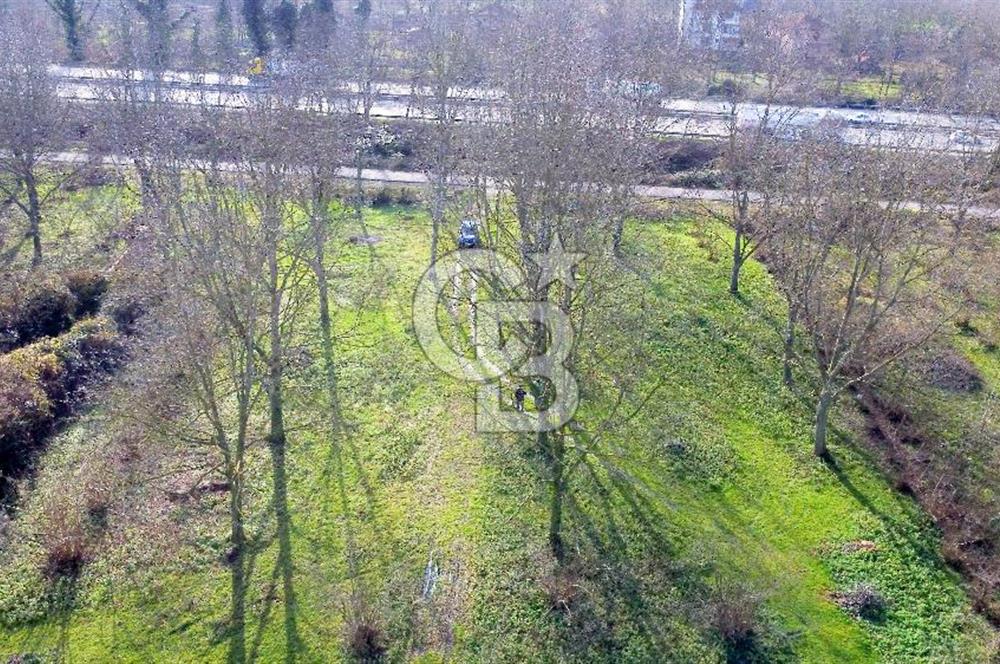 CB AKADEMİ MAŞUKİYE ASFALT CEPHE SATILIK 8376 m2 TARLA