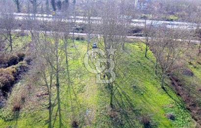 CB AKADEMİ MAŞUKİYE ASFALT CEPHE SATILIK 8376 m2 TARLA